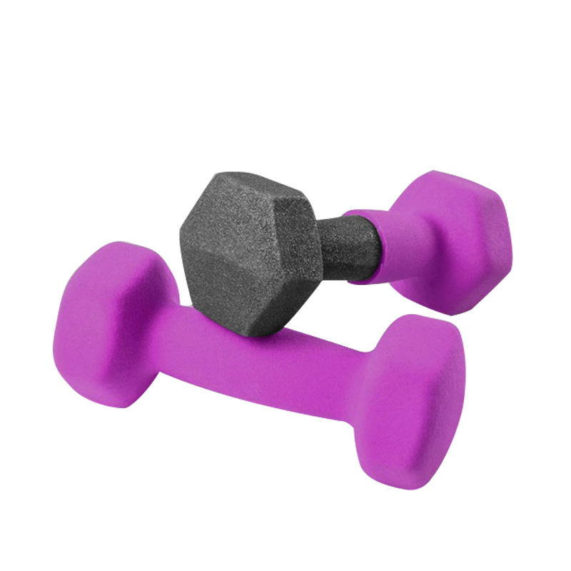 20LBS Hexagonal PVC Dipping Vinyl Dumbbell Set