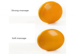 Yoga Balance Air Cushion